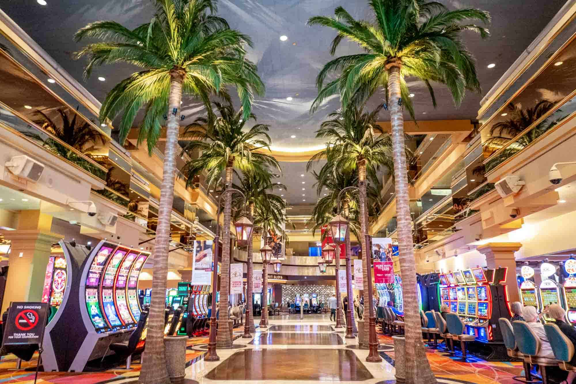 Royal Flush Rüyası: Deniz'in Azim Hikayesi